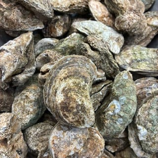 Select Oysters