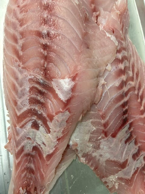 Fresh Local Grouper.
