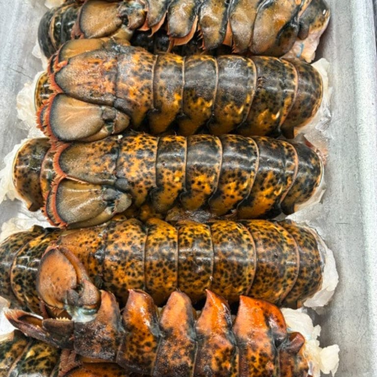 Indulge in Our Lobster Dishes