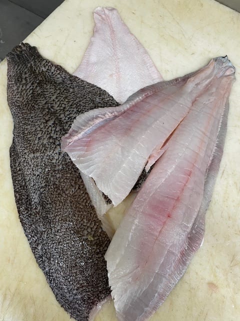 Flounder.