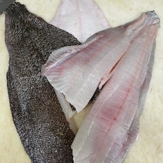 Flounder