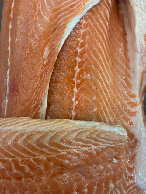 Salmon.