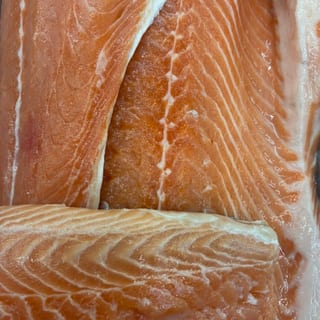 Salmon