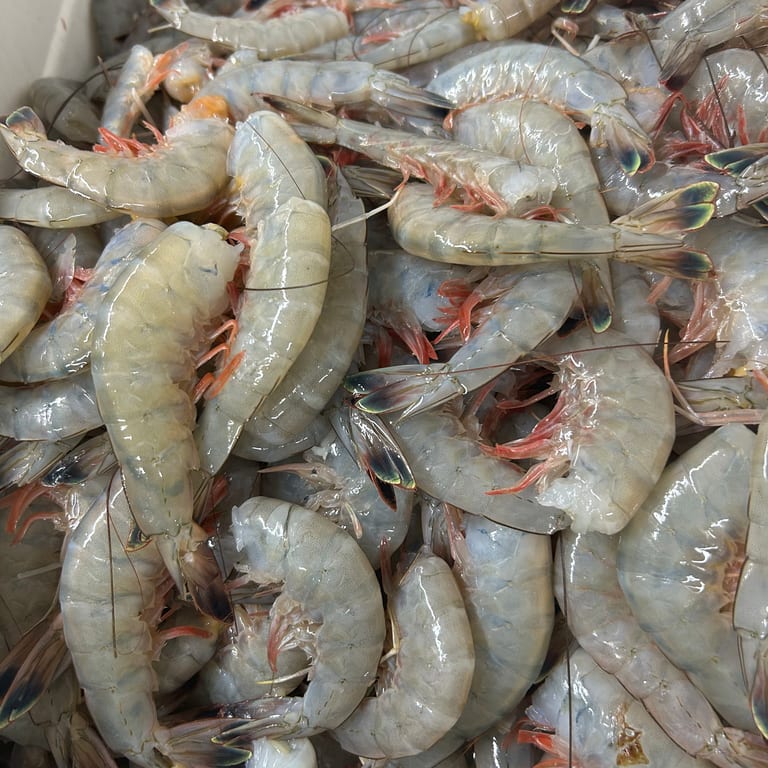 Delicious Shrimp Dishes