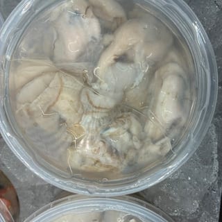 Shucked Oysters